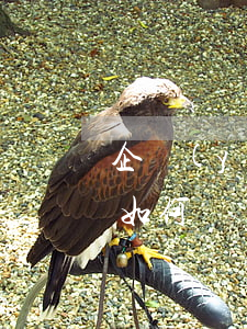 企業(yè)拆遷都有哪些補(bǔ)償,該如何維權(quán)