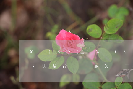 企業(yè)拖欠養(yǎng)老金可以去法院起訴嗎(拖欠職工養(yǎng)老金如何起訴)