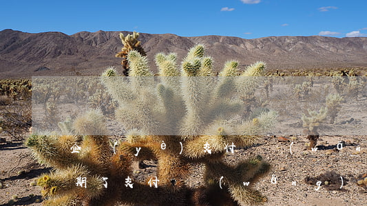 企業(yè)支付寶網(wǎng)商貸逾期了(支付寶網(wǎng)商貸可以逾期多久)