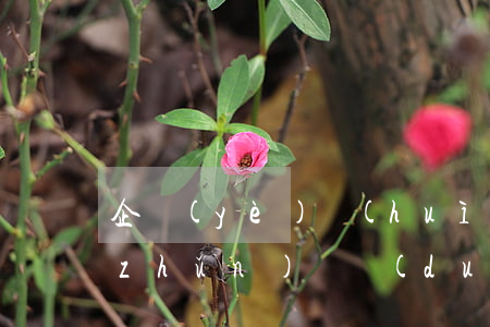 企業(yè)會(huì)計(jì)準(zhǔn)則對(duì)逾期利息的規(guī)定-企業(yè)會(huì)計(jì)準(zhǔn)則對(duì)逾期利息的規(guī)定是