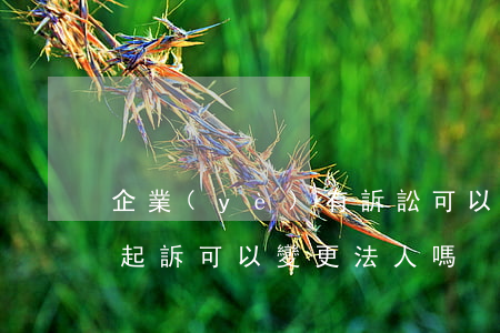 企業(yè)有訴訟可以變更法人嗎(公司被起訴可以變更法人嗎)