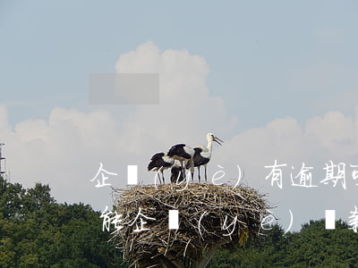 企業(yè)有逾期可以貸款嗎(法人有逾期能企業(yè)貸款嗎)