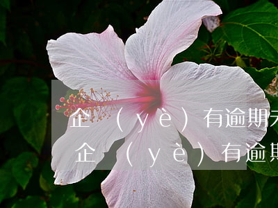 企業(yè)有逾期未申報信息可以退稅嗎（企業(yè)有逾期）