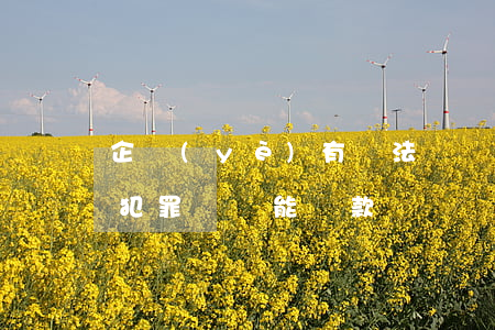 企業(yè)有違法記錄可以貸款嗎(有違法犯罪記錄能貸款嗎?)