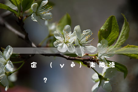 企業(yè)未依法為員工購買社保如何起訴？