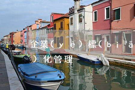 企業(yè)標(biāo)準(zhǔn)化管理