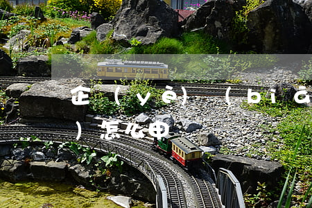 企業(yè)標(biāo)準(zhǔn)怎么申請