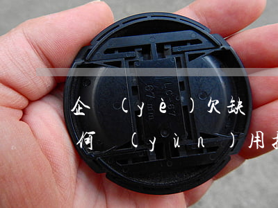 企業(yè)欠缺償還能力時(shí)，如何運(yùn)用揭開(kāi)公司面紗制度