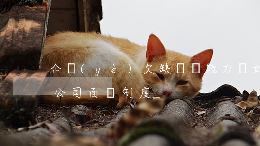 企業(yè)欠缺償還能力時，如何運用揭開公司面紗制度
