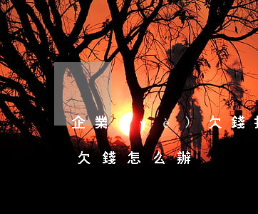 企業(yè)欠錢打官司流程(企業(yè)欠錢怎么辦)