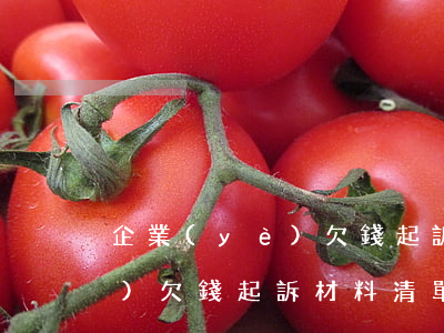 企業(yè)欠錢起訴材料清單(企業(yè)欠錢起訴材料清單怎么寫)