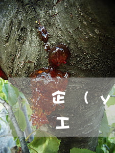 企業(yè)沒有參加工傷保險職工怎么辦（工傷維權(quán)流程）