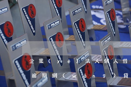 企業(yè)法人個人借網(wǎng)貸逾期(網(wǎng)貸公司可以起訴借款人嗎)