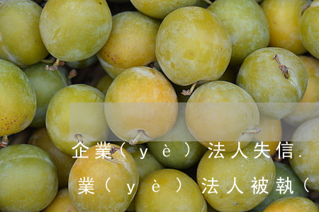 企業(yè)法人失信.可以司法拘留嗎(企業(yè)法人被執(zhí)行失信人對本人有哪些影響)