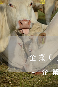 企業(yè)法人欠銀行貸款還不起怎么辦-企業(yè)法人欠銀行貸款還不起怎么辦呢