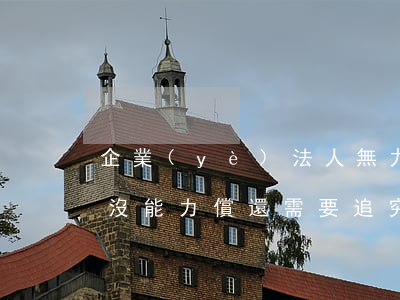 企業(yè)法人無力償還可以拘留嗎(法人沒能力償還需要追究股東嗎)