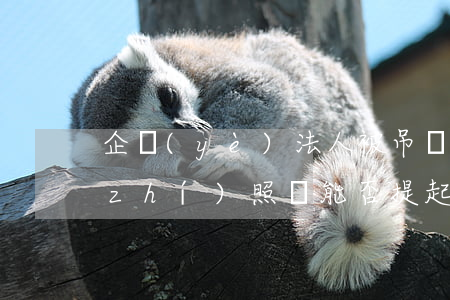 企業(yè)法人被吊銷營業(yè)執(zhí)照，還能否提起訴訟?(附7個典型判例)