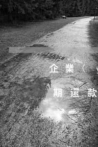 企業(yè)法人逾期了會怎么辦（子公司逾期還款對法人有什么影響）