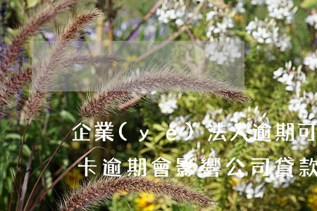 企業(yè)法人逾期可以貸款嗎(法人信用卡逾期會影響公司貸款嗎)