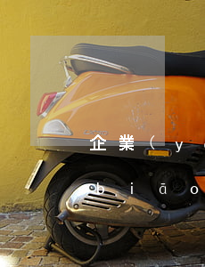 企業(yè)法律顧問服務(wù)的標(biāo)準(zhǔn)化構(gòu)建