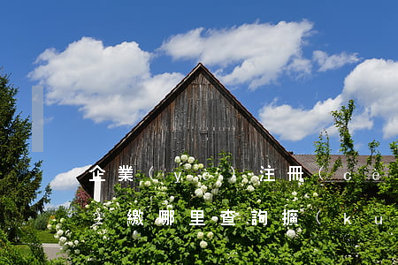企業(yè)注冊(cè)資本實(shí)繳哪里查詢（擴(kuò)展資料）