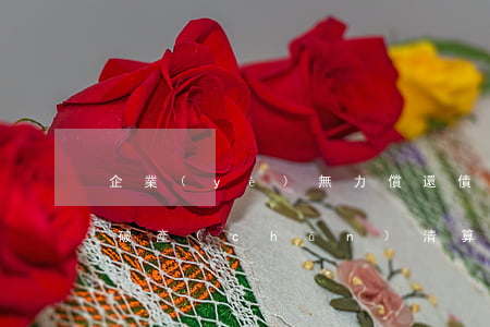 企業(yè)無力償還債務(wù)被申請破產(chǎn)清算-企業(yè)無力償還債務(wù)被申請破產(chǎn)清算怎么辦