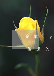 企業(yè)無力償還的(企業(yè)無力償還的銀行承兌匯票)