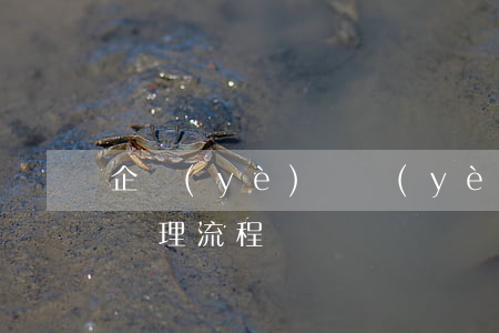 企業(yè)營業(yè)執(zhí)照辦理流程