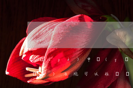 企業(yè)申請(qǐng)破產(chǎn)法院可以拒絕嗎(公司申請(qǐng)破產(chǎn)向法院哪個(gè)部門申請(qǐng))