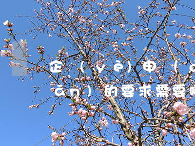 企業(yè)申請(qǐng)破產(chǎn)的要求需要哪些