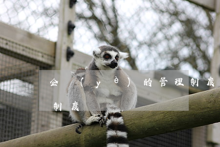 企業(yè)的管理制度(企業(yè)工作制度)