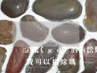 企業(yè)的訴訟費可以扣除嗎(支付訴訟費可以扣除嗎)