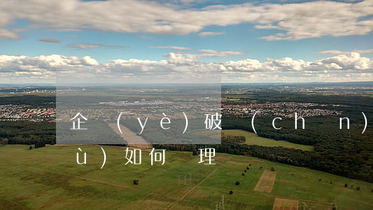 企業(yè)破產(chǎn)后債務(wù)如何處理