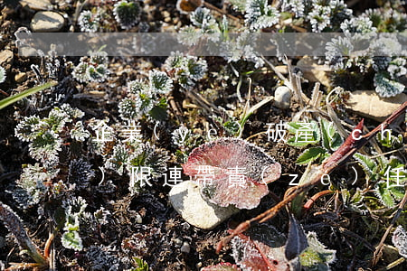 企業(yè)破產(chǎn)后無(wú)限連帶責(zé)任怎么處理