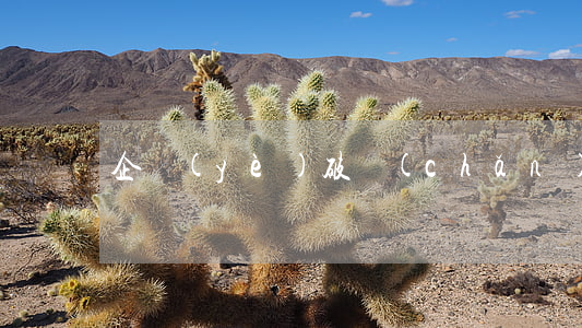 企業(yè)破產(chǎn)法