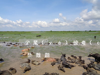 企業(yè)破產(chǎn)清算中有哪些難題