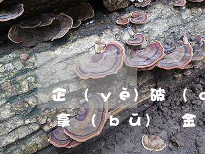 企業(yè)破產(chǎn)退休人員能拿補(bǔ)償金嗎