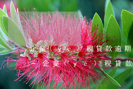 企業(yè)稅貸款逾期線上再貸款可能嗎-企業(yè)稅貸款逾期線上再貸款可能嗎會(huì)怎么樣