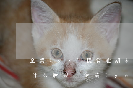 企業(yè)稅貸逾期未還會(huì)有什么后果-企業(yè)稅貸逾期未還會(huì)有什么后果嗎