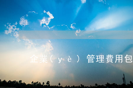 企業(yè)管理費用包括哪些