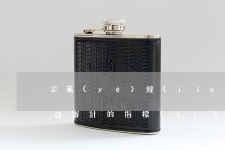 企業(yè)經(jīng)濟(jì)效益審計的指標(biāo)體系及評價標(biāo)準(zhǔn)是怎樣的