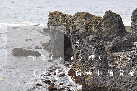 企業(yè)經(jīng)濟(jì)補(bǔ)償金和賠償金有哪些區(qū)別