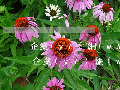 企業(yè)網(wǎng)商貸怎么貸款 企業(yè)網(wǎng)商貸怎么申請(qǐng)