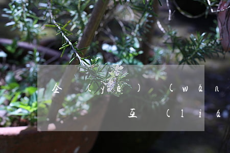 企業(yè)網(wǎng)絡(luò)營銷顧問(互聯(lián)網(wǎng)營銷顧問)