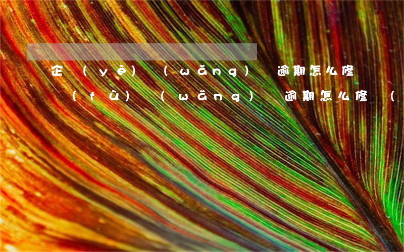 企業(yè)網(wǎng)貸逾期怎么修復(fù)(網(wǎng)貸逾期怎么修復(fù)征信)