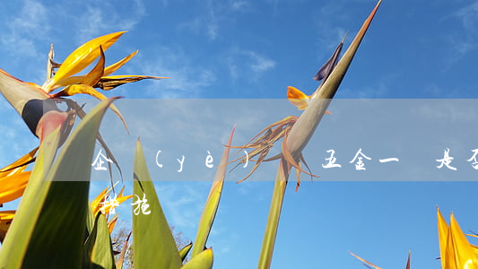 企業(yè)繳納五金一險是否有什么強制措施
