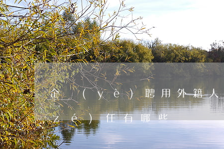 企業(yè)聘用外籍人員入職的法律責(zé)任有哪些
