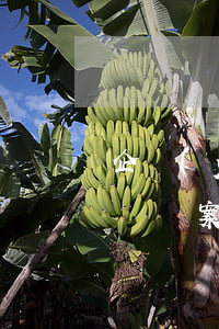 企業(yè)融資計劃(企業(yè)融資計劃書案例)