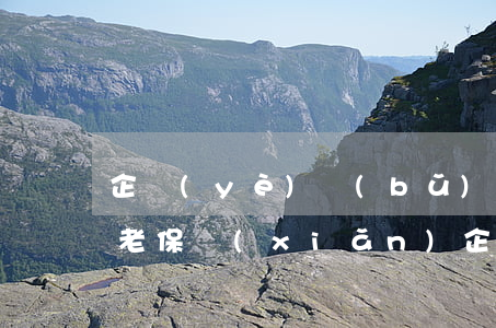 企業(yè)補(bǔ)充養(yǎng)老保險(xiǎn)(企業(yè)補(bǔ)充養(yǎng)老保險(xiǎn)與企業(yè)年金)