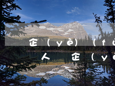企業(yè)負(fù)責(zé)人變更(個人獨資企業(yè)負(fù)責(zé)人變更)